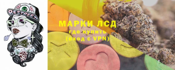 ГАЛЛЮЦИНОГЕННЫЕ ГРИБЫ Алзамай