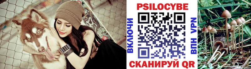 Галлюциногенные грибы Psilocybe  Ухта 